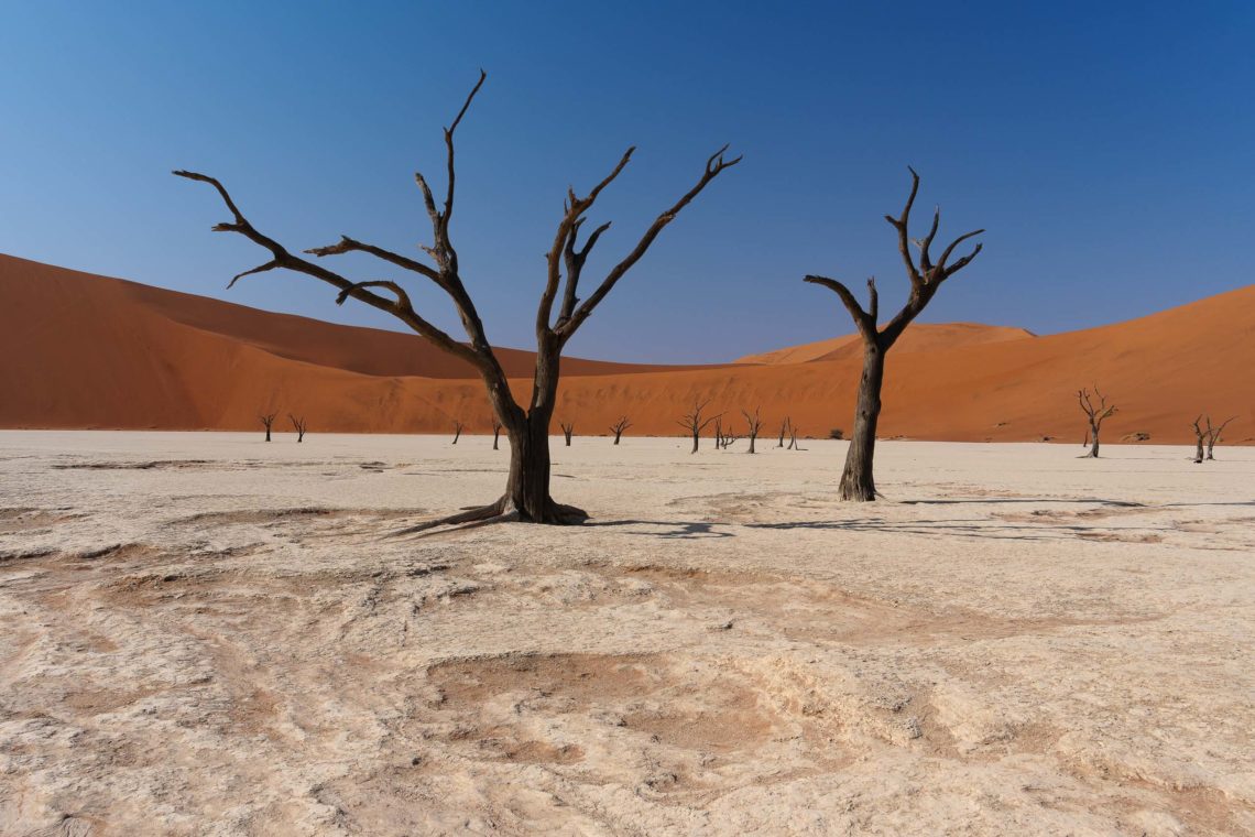 Namibia Viaggio Fotografico Workshop Nikon School 00010