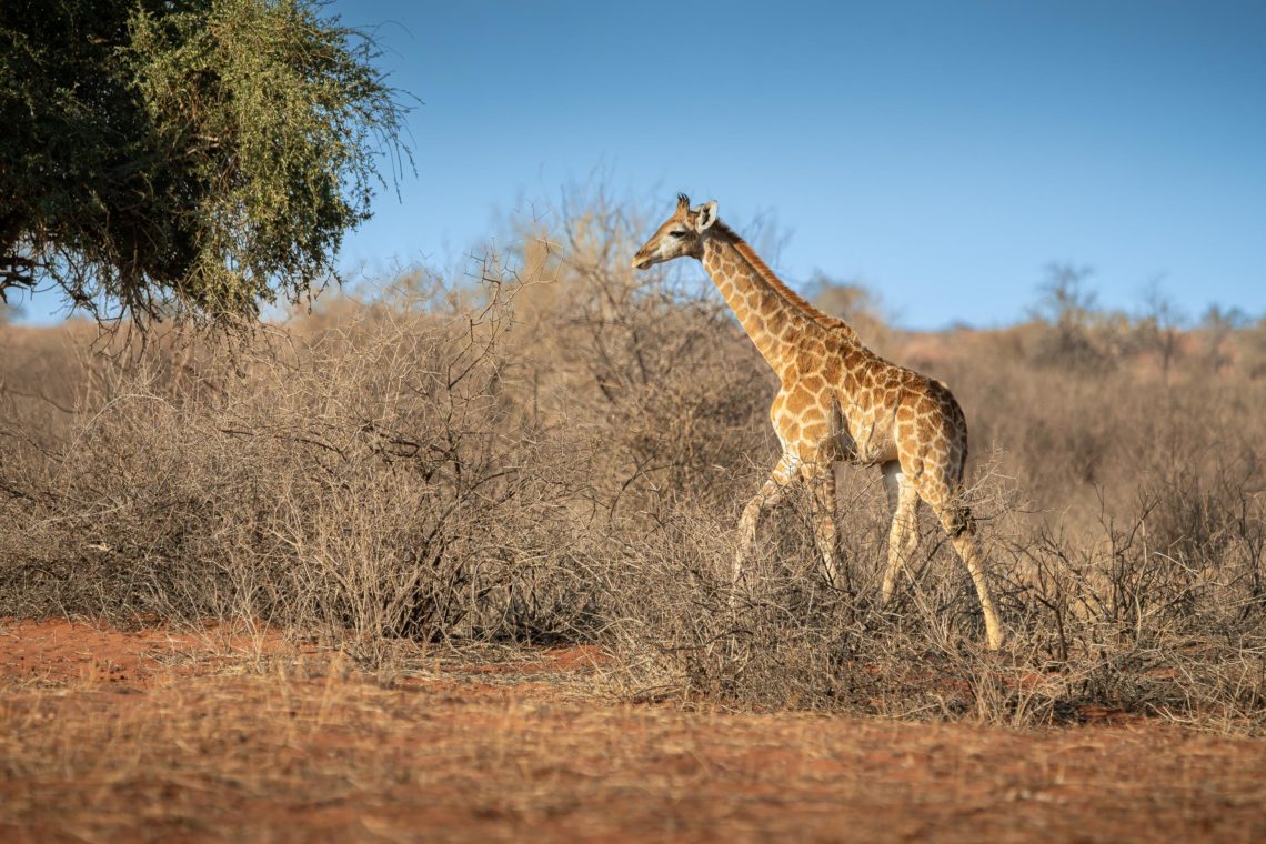 Namibia Viaggio Fotografico Workshop Nikon School 00016