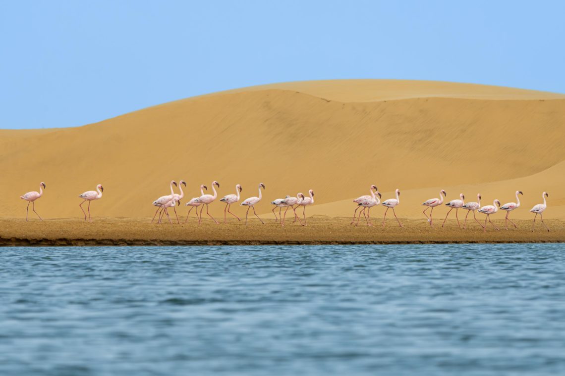 Namibia Viaggio Fotografico Workshop Nikon School 00018