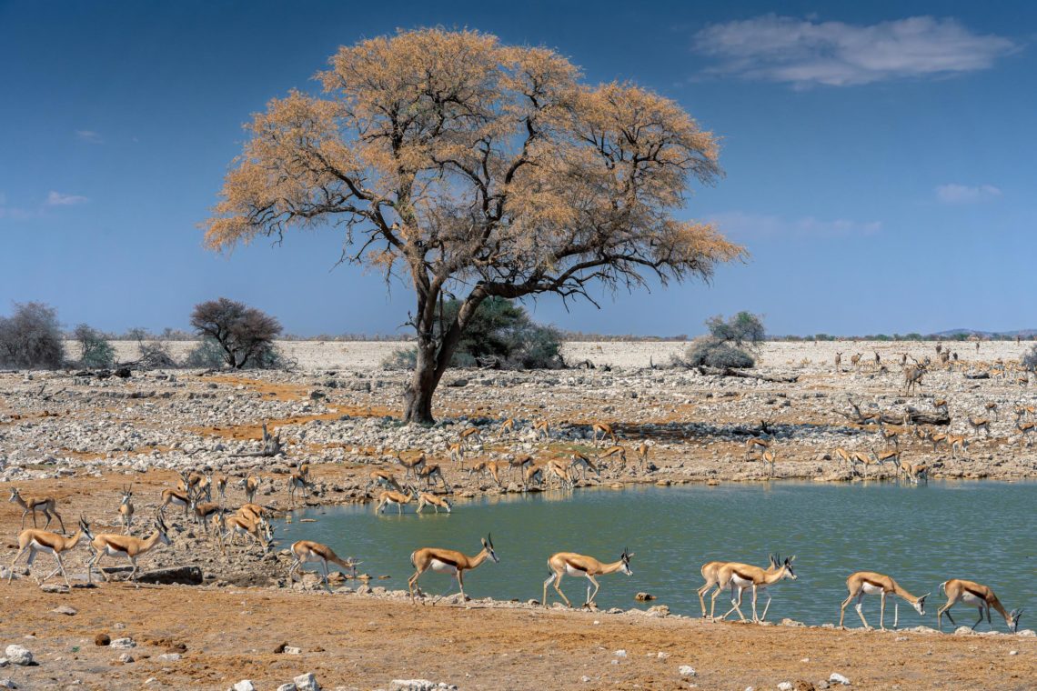 Namibia Viaggio Fotografico Workshop Nikon School 00020