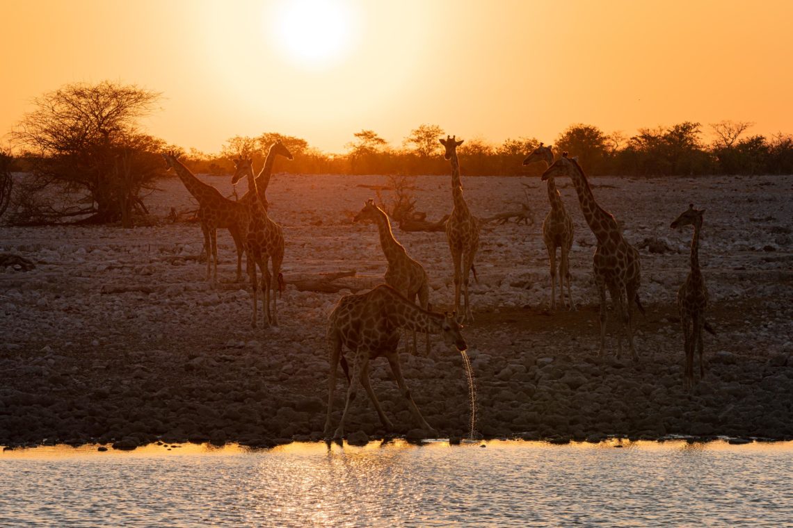 Namibia Viaggio Fotografico Workshop Nikon School 00024