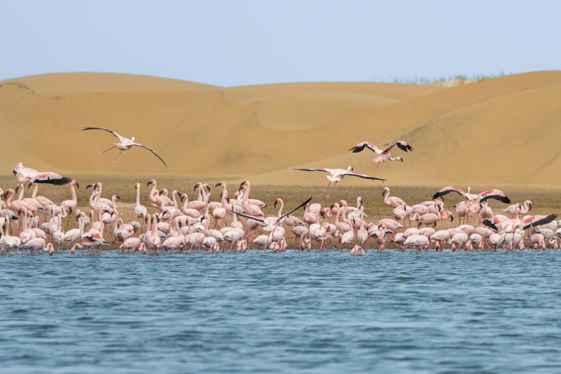 Namibia Viaggio Fotografico Workshop Nikon School 00028