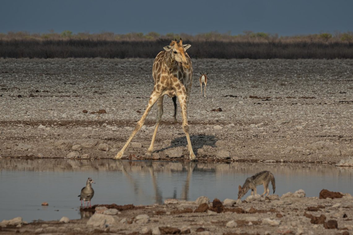 Namibia Viaggio Fotografico Workshop Nikon School 00029