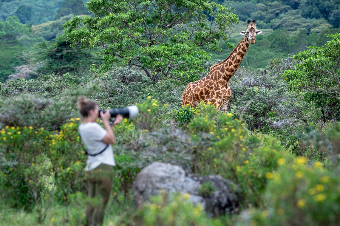 Viaggio Fotografico Tanzania Safari Nikon School Travel Viaggi Fotografici Sarengeti Ngorongoro Workshop Wildlife 00003