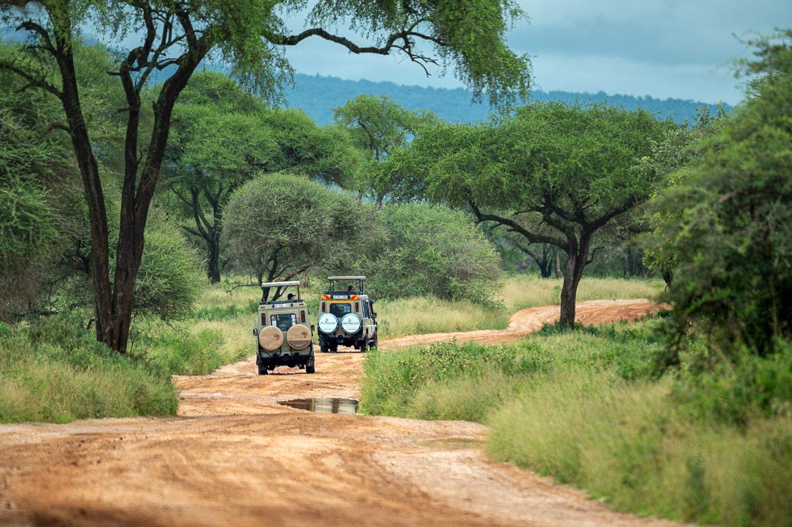 Viaggio Fotografico Tanzania Safari Nikon School Travel Viaggi Fotografici Sarengeti Ngorongoro Workshop Wildlife 00004