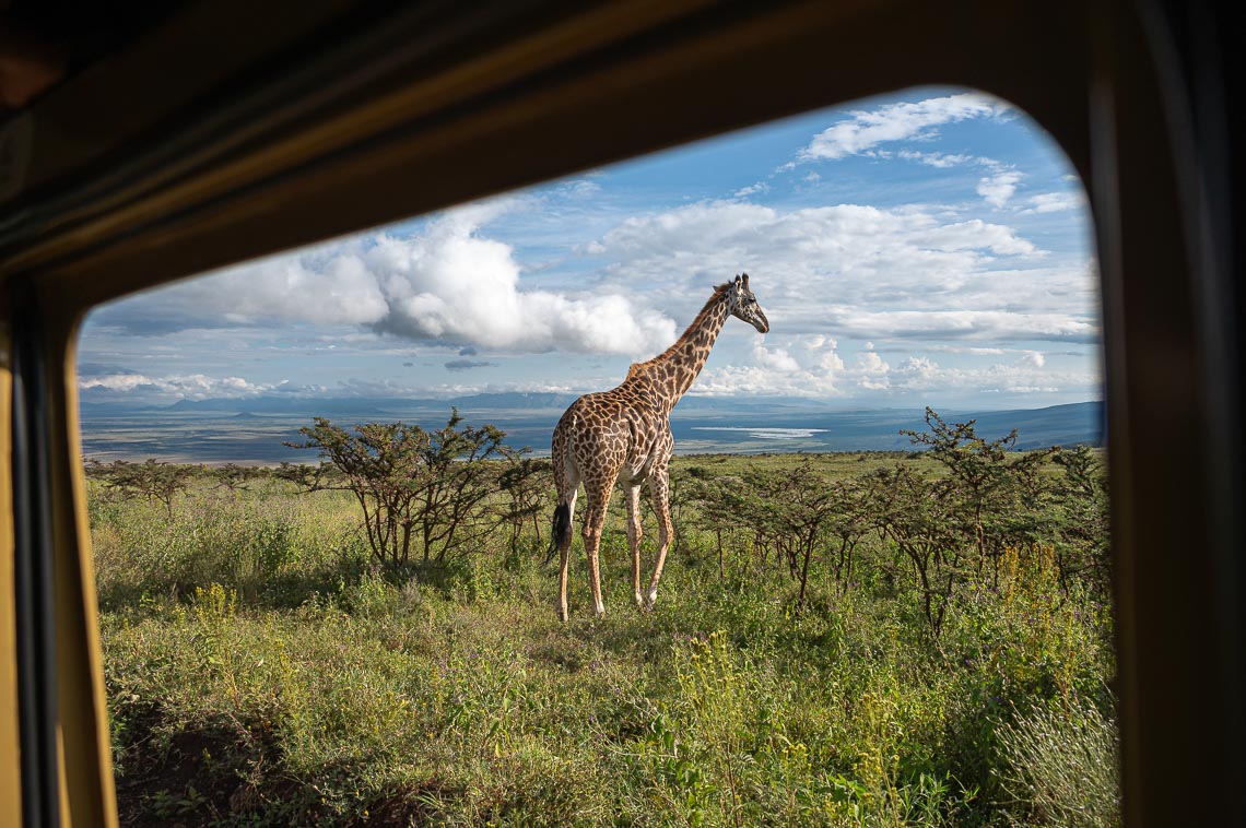 Viaggio Fotografico Tanzania Safari Nikon School Travel Viaggi Fotografici Sarengeti Ngorongoro Workshop Wildlife 00006