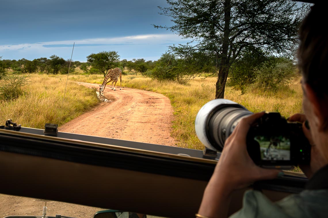 Viaggio Fotografico Tanzania Safari Nikon School Travel Viaggi Fotografici Sarengeti Ngorongoro Workshop Wildlife 00015