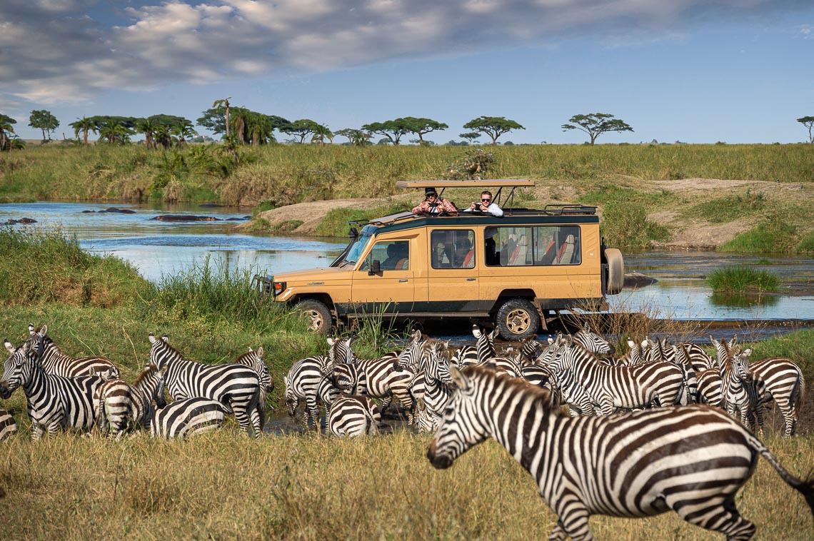 Viaggio Fotografico Tanzania Safari Nikon School Travel Viaggi Fotografici Sarengeti Ngorongoro Workshop Wildlife 00019