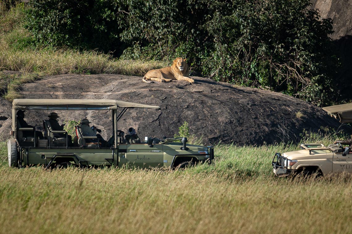 Viaggio Fotografico Tanzania Safari Nikon School Travel Viaggi Fotografici Sarengeti Ngorongoro Workshop Wildlife 00021