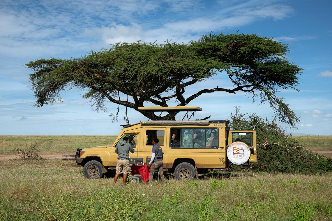 Viaggio Fotografico Tanzania Safari Nikon School Travel Viaggi Fotografici Sarengeti Ngorongoro Workshop Wildlife 00022