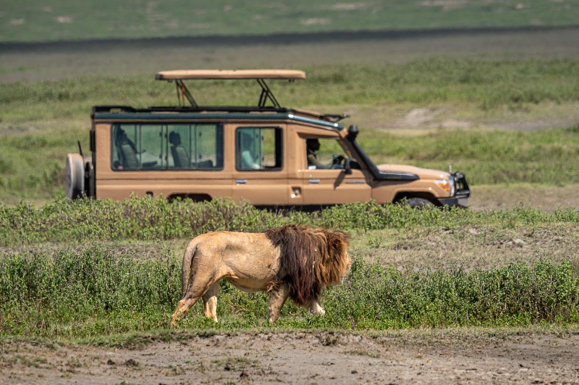 Viaggio Fotografico Tanzania Safari Nikon School Travel Viaggi Fotografici Sarengeti Ngorongoro Workshop Wildlife 00026