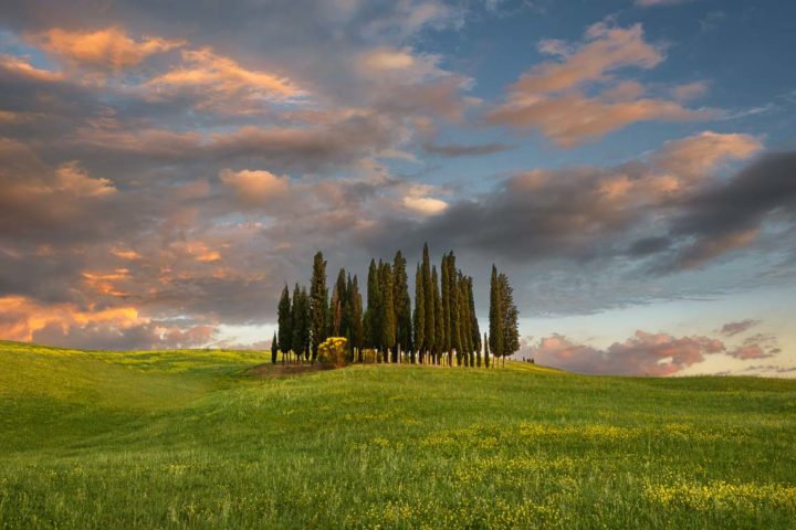 Val Orcia Toscana Nikon School Workshop Paesaggio Notturna Via Lattea Startrail 00010