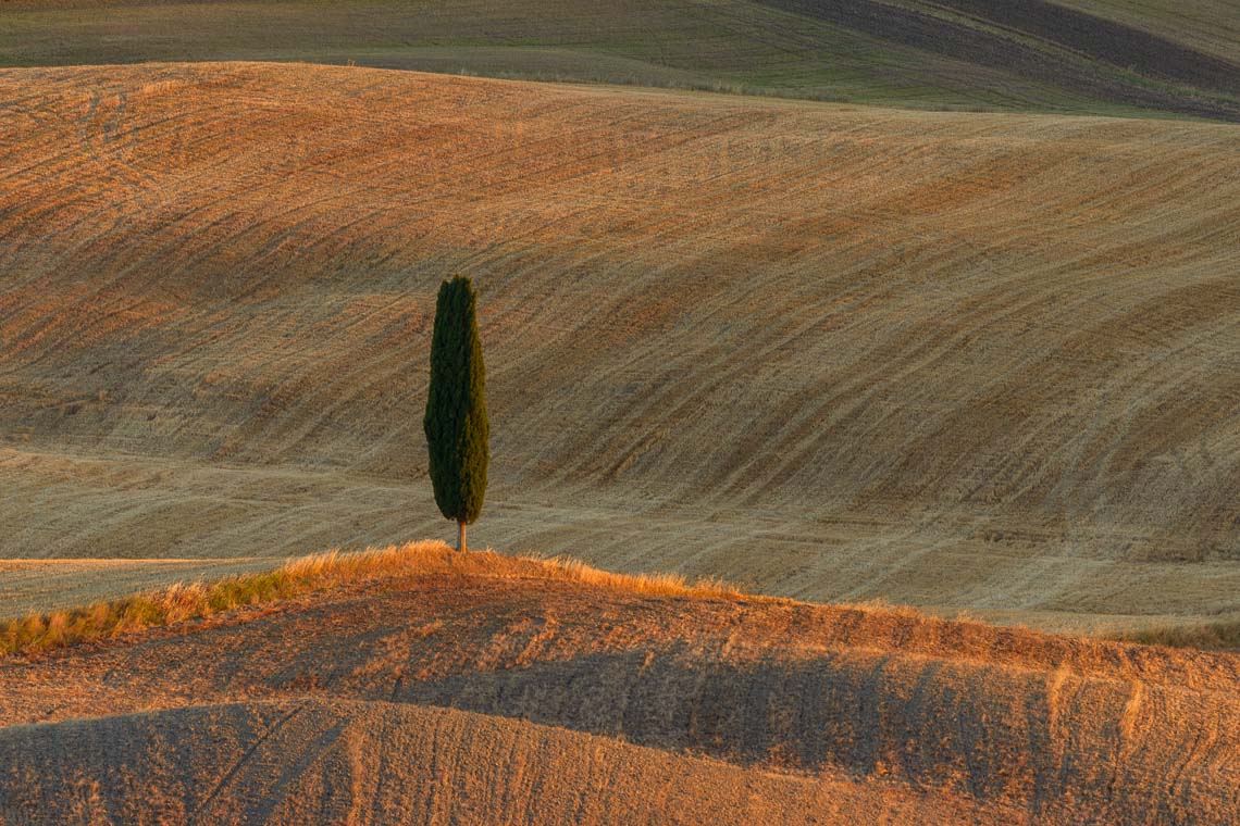 Val Orcia Toscana Nikon School Workshop Paesaggio Notturna Via Lattea Startrail 00027