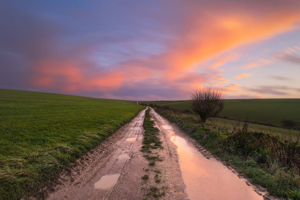 Dorset Nikon School Viaggio Fotografico Workshop Paesaggio Viaggi Fotografici Inghilterra 00020