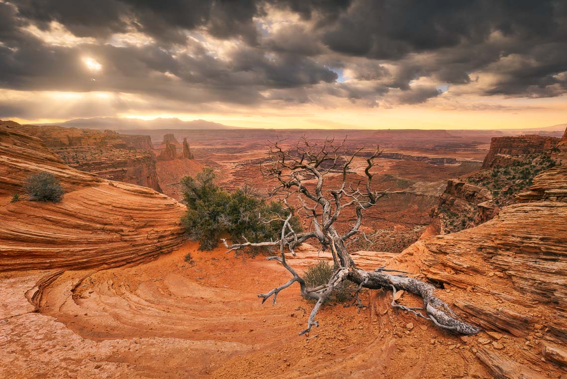 Usa Stati Uniti Nikon School Viaggio Fotografico Workshop Parchi Monument Grand Canyon Arches Death Valley Antelope Las Vegas Horseshoe Bend Bryce Canyon 00004