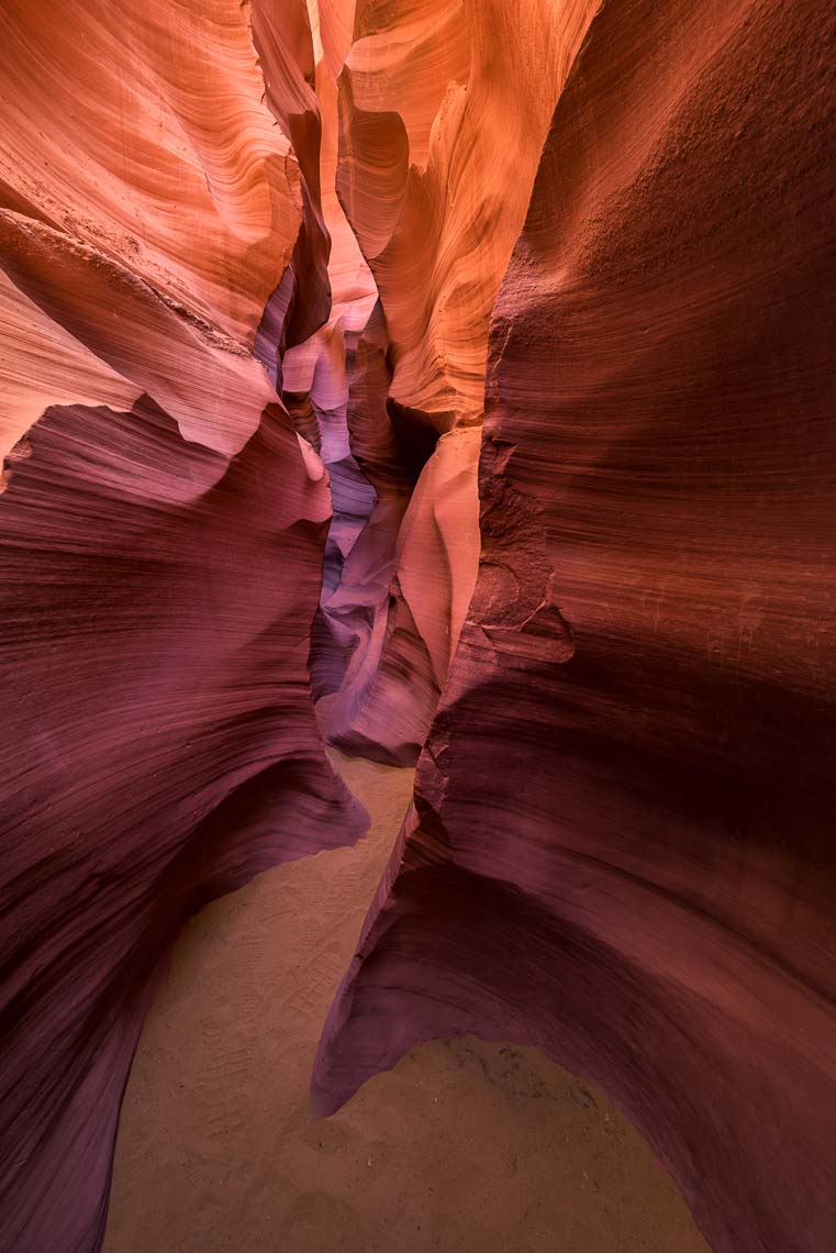 Usa Stati Uniti Nikon School Viaggio Fotografico Workshop Parchi Monument Grand Canyon Arches Death Valley Antelope Las Vegas Horseshoe Bend Bryce Canyon 00045