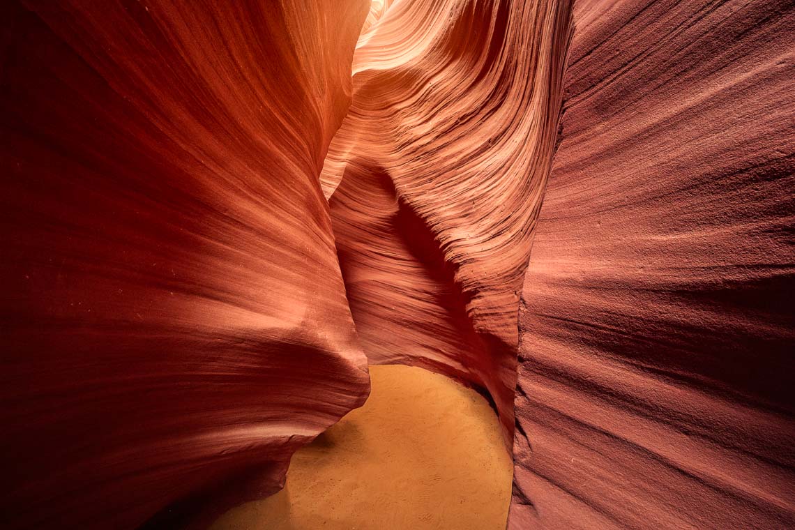 Usa Stati Uniti Nikon School Viaggio Fotografico Workshop Parchi Monument Grand Canyon Arches Death Valley Antelope Las Vegas Horseshoe Bend Bryce Canyon 00057