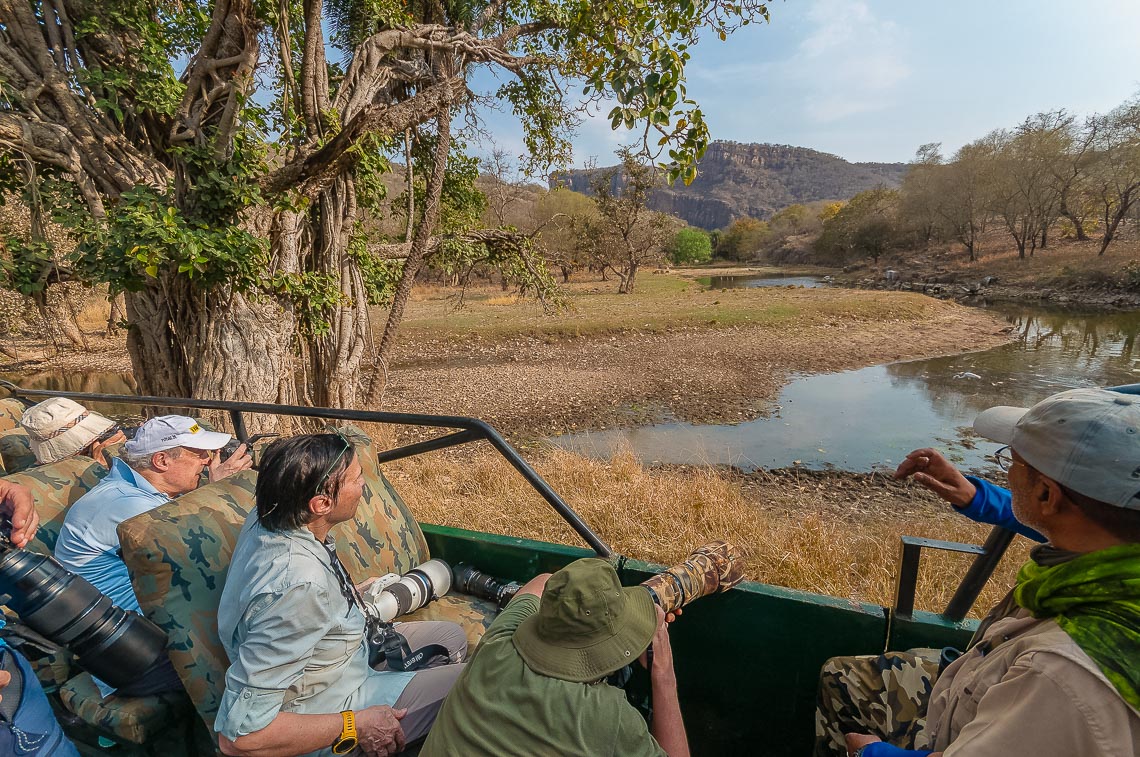 Viaggio Fotografico India Tigri Tigre Nikon School Ranthambore Workshop Wildlife Viaggi Fotografici 00002