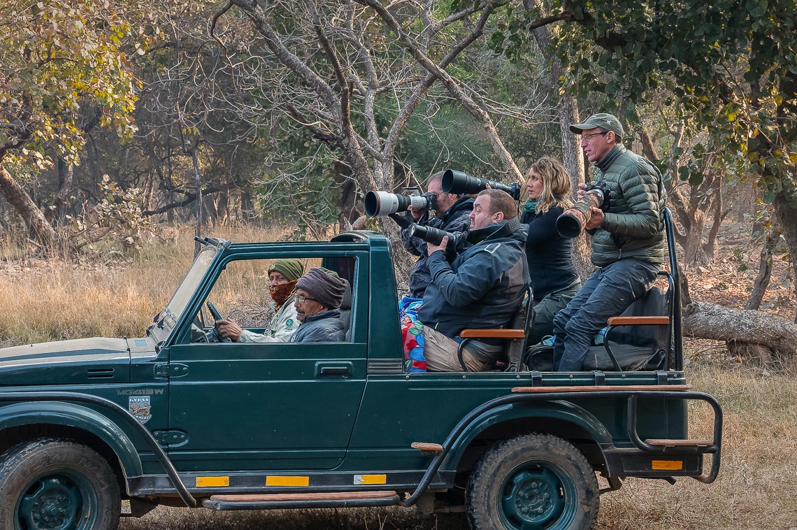 Viaggio Fotografico India Tigri Tigre Nikon School Ranthambore Workshop Wildlife Viaggi Fotografici 00004