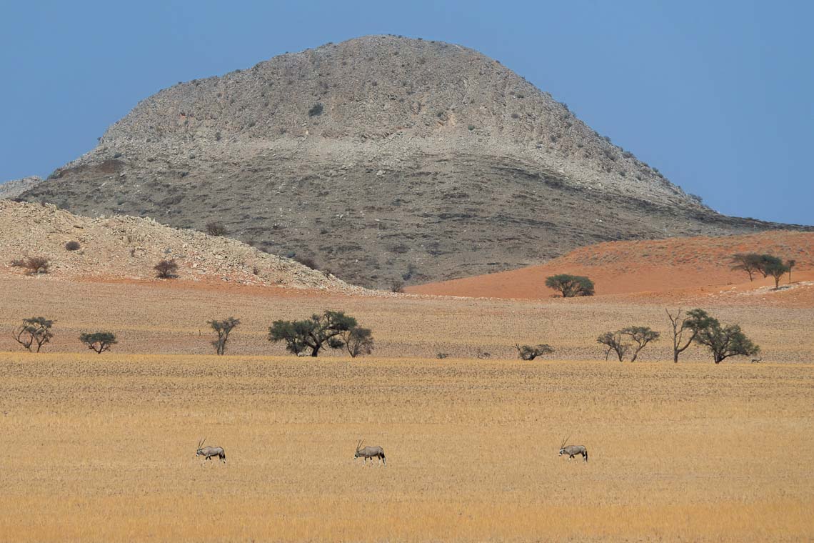 Namibia Viaggio Fotografico Workshop Nikon School 00003