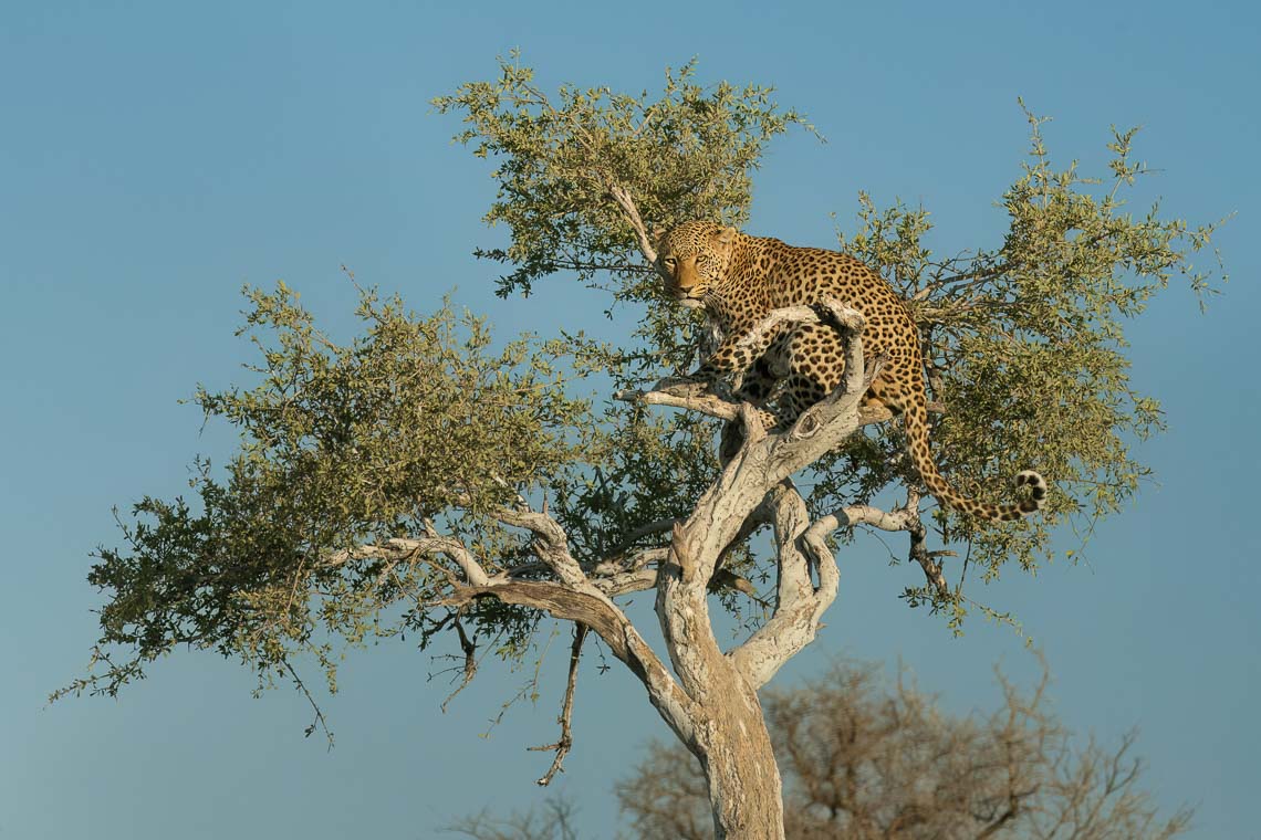 Namibia Viaggio Fotografico Workshop Nikon School 00004