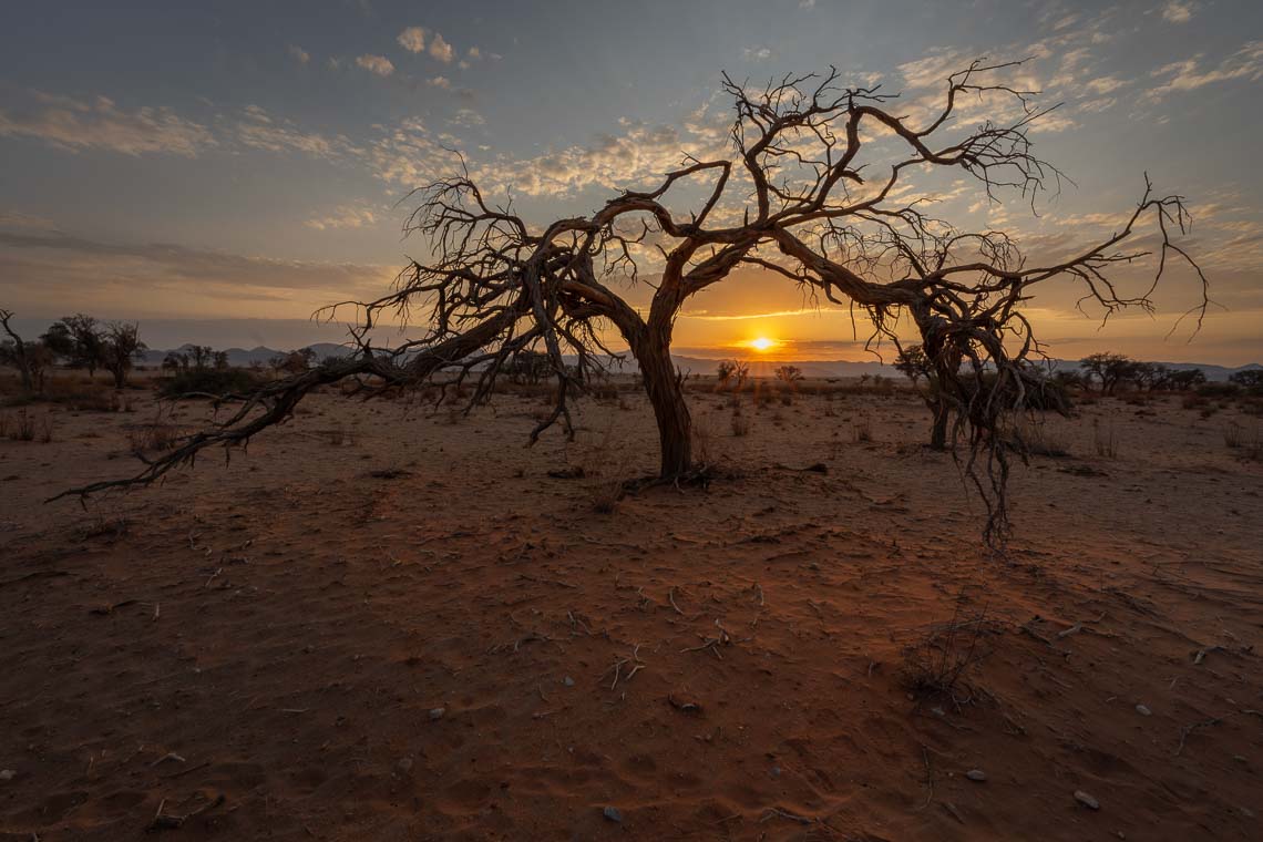 Namibia Viaggio Fotografico Workshop Nikon School 00009