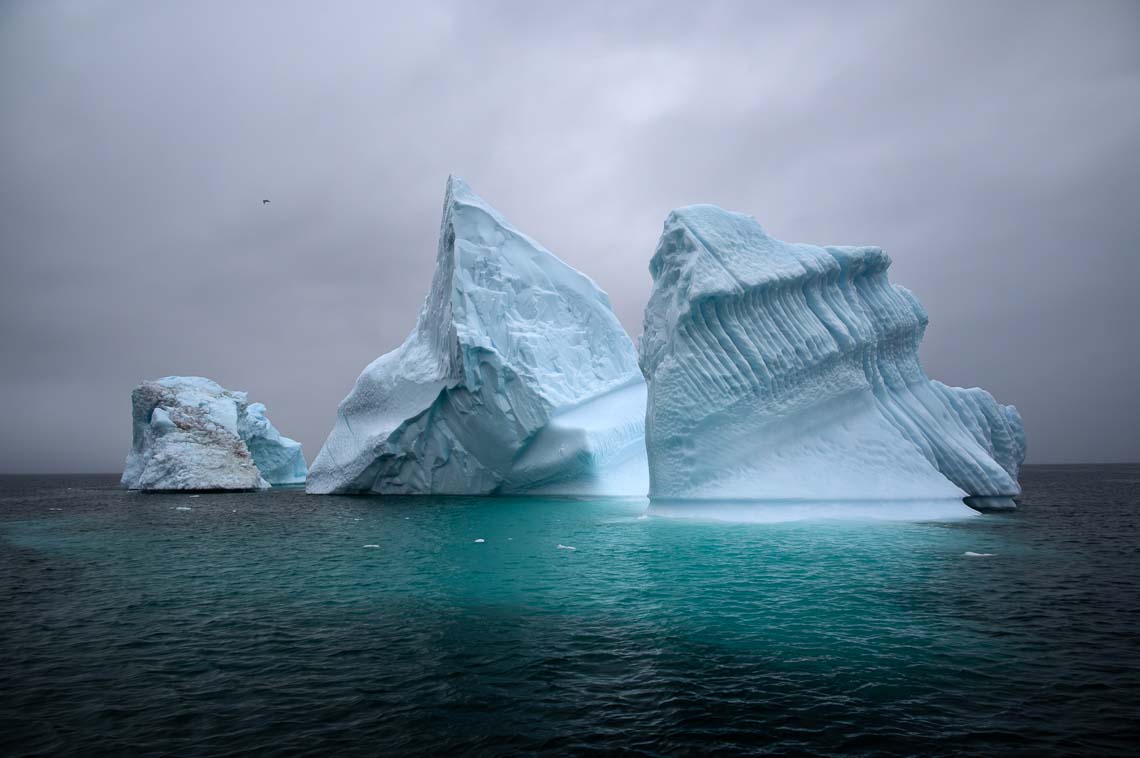 Groenlandia Viaggio Fotografico Nikon School Workshop Ilulissat Disko Iceberg Estate 00050