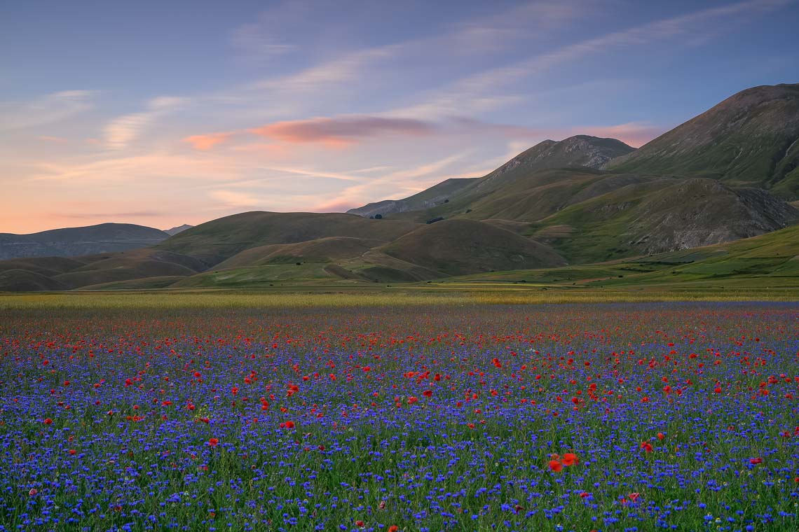 Castelluccio Fioritura Nikon School Workshop Paesaggio Notturna Via Lattea Startrail 00014