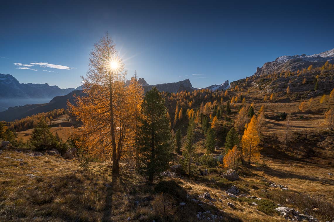 Dolomiti Foliage Autunno Nikon School Workshop Paesaggio Notturna Via Lattea Startrail 00053